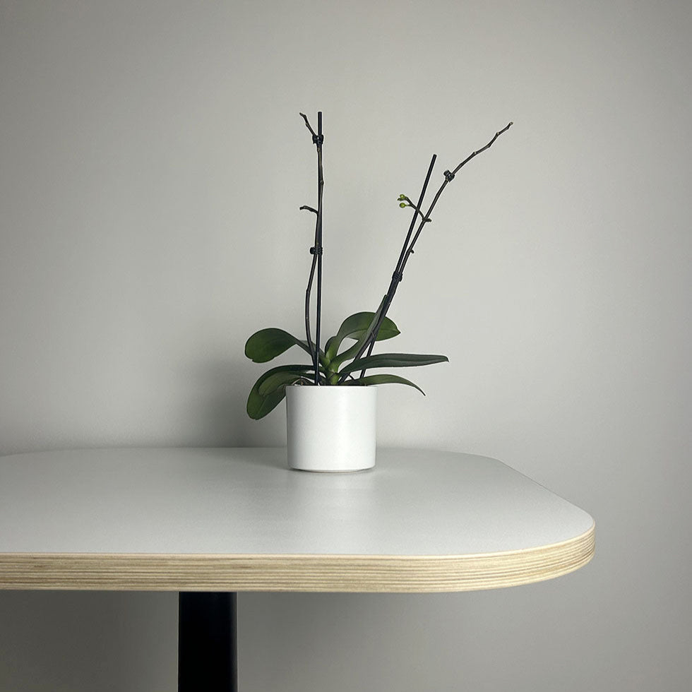 Plateau de table Blanc ultra mat personnalisable