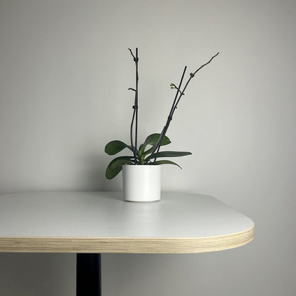 Plateau de table Blanc ultra mat personnalisable