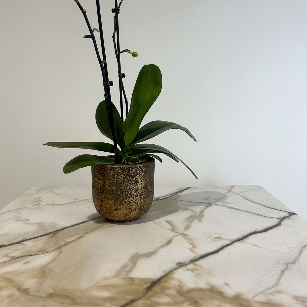 plateau de table sur mesure restaurant marbre calcuta restootab