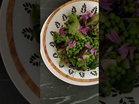 Vidéo RestooTab - Décor de table Mabre Calypso