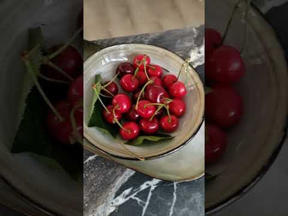 Vidéo RestooTab - Décor de table Marbre Royal