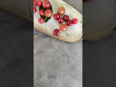 Vidéo RestooTab - Décor de table Pierre Métallisée